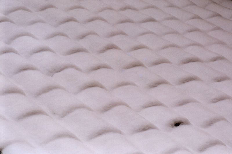 Seasonal Roofing Trends