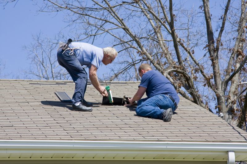Roof Repair & Maintenance